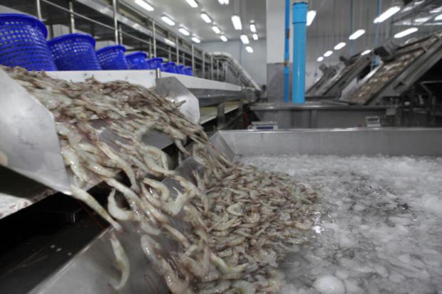 Thailand’s environmental-friendly shrimps set to entice more American consumers